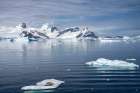 Antarctica. Crabeater seals napping on iceberg. Art Print